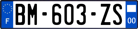 BM-603-ZS