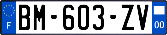 BM-603-ZV