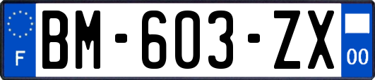 BM-603-ZX