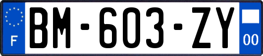 BM-603-ZY