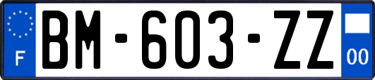 BM-603-ZZ