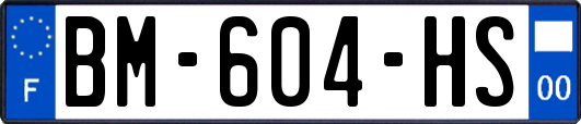 BM-604-HS
