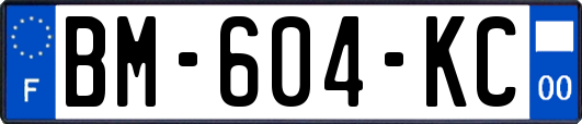 BM-604-KC