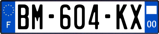 BM-604-KX
