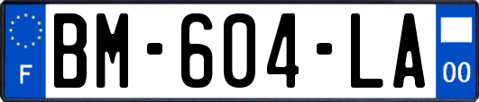 BM-604-LA