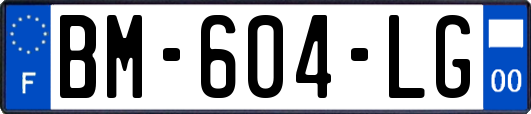 BM-604-LG