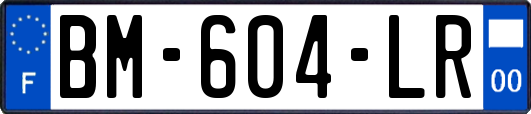 BM-604-LR