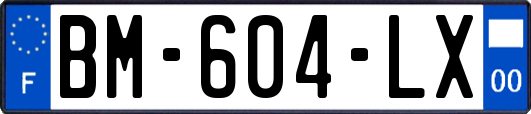 BM-604-LX