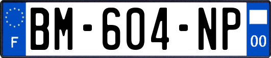 BM-604-NP