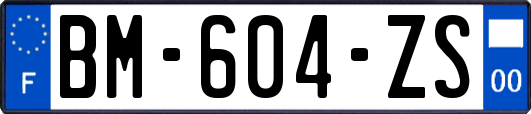 BM-604-ZS