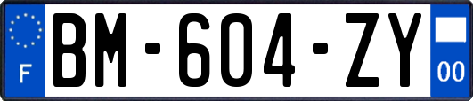 BM-604-ZY