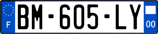 BM-605-LY