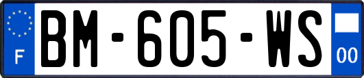 BM-605-WS