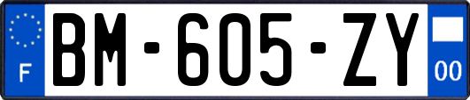 BM-605-ZY