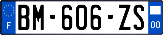 BM-606-ZS