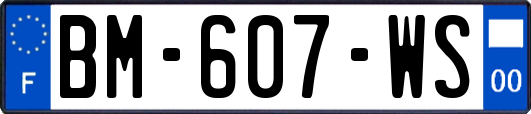 BM-607-WS