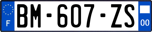 BM-607-ZS