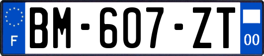 BM-607-ZT