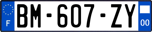 BM-607-ZY