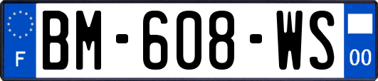 BM-608-WS
