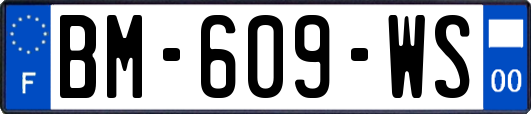 BM-609-WS