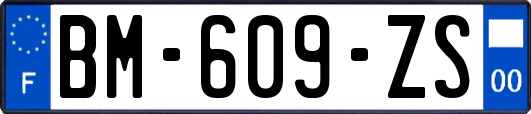 BM-609-ZS