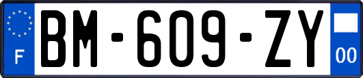 BM-609-ZY