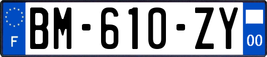 BM-610-ZY