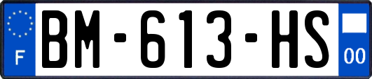 BM-613-HS