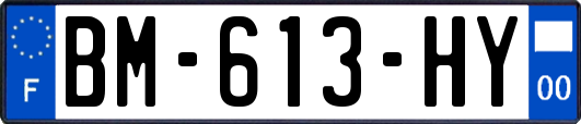 BM-613-HY