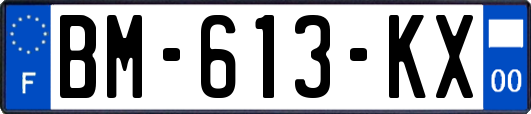 BM-613-KX