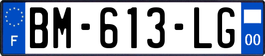 BM-613-LG