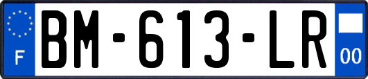 BM-613-LR
