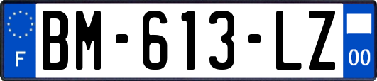 BM-613-LZ