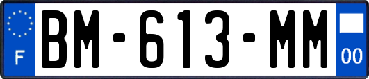 BM-613-MM