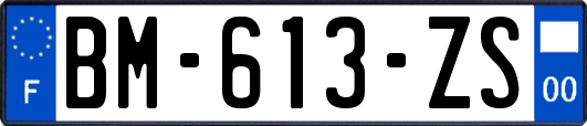 BM-613-ZS