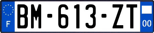 BM-613-ZT