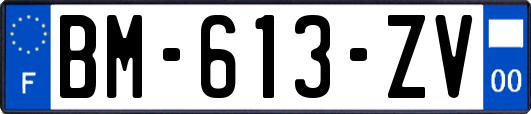 BM-613-ZV