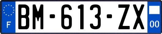 BM-613-ZX