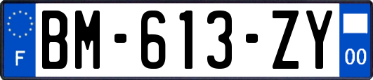 BM-613-ZY