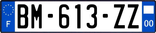 BM-613-ZZ