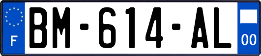 BM-614-AL