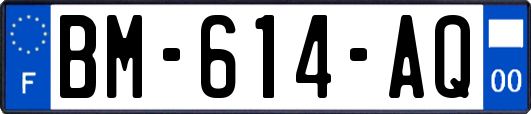 BM-614-AQ