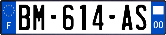 BM-614-AS