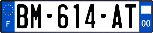 BM-614-AT