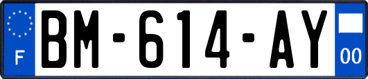 BM-614-AY