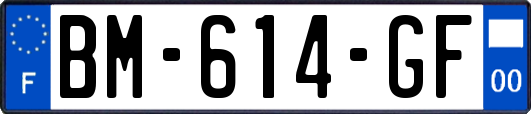 BM-614-GF