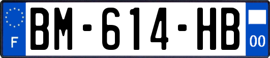 BM-614-HB