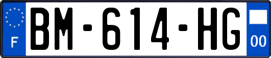 BM-614-HG