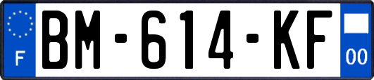 BM-614-KF